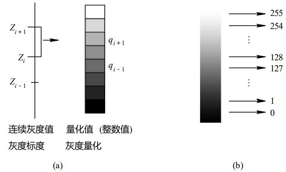 量化示意图(a)量化；(b)量化为8bit