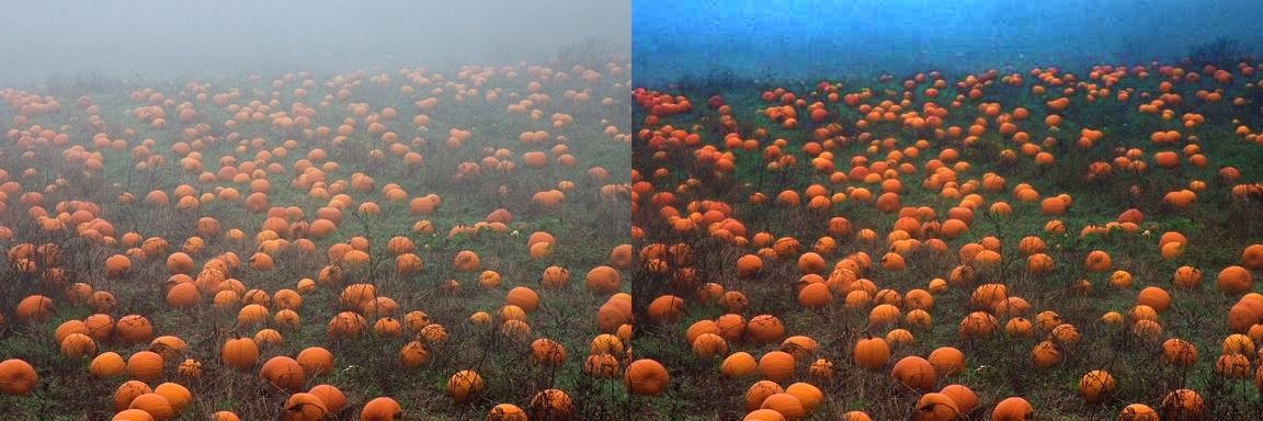 DCP_contrast_pumpkins